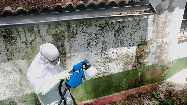 Trusted Crawl Space Mold Removal service in Lucama, NC - Cheap Mold Removal